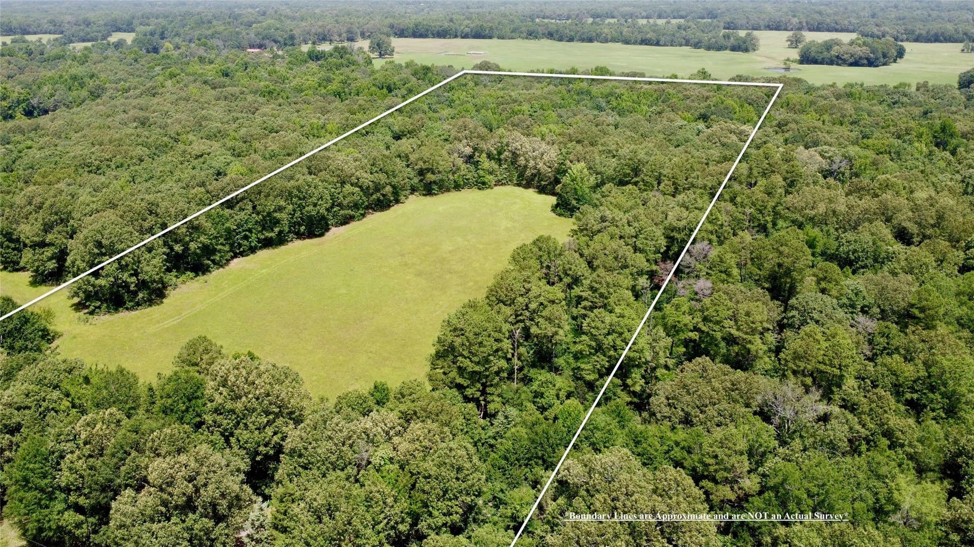 24.39 acres in Lamar County - photo 5