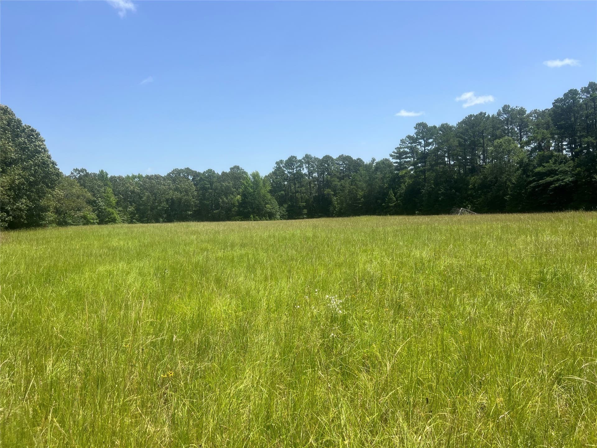 24.39 acres in Lamar County - photo 4