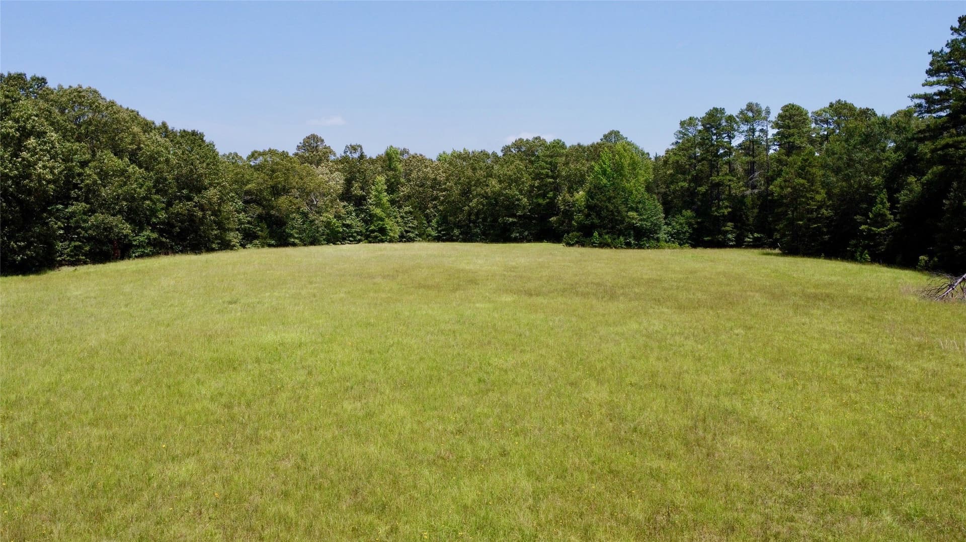 24.39 acres in Lamar County - photo 6