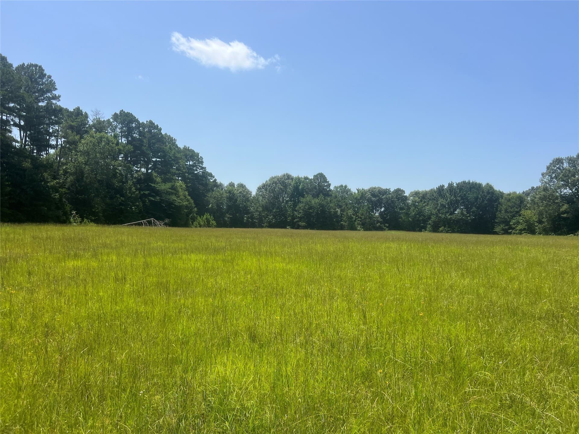 24.39 acres in Lamar County - photo 2