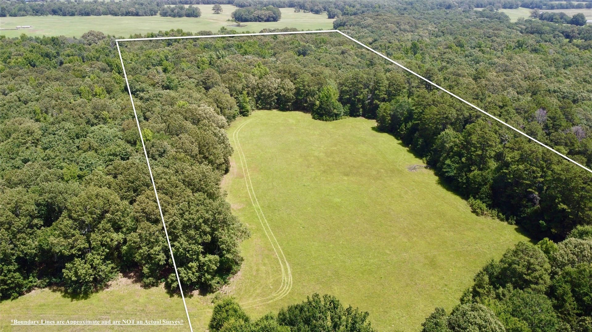 24.39 acres in Lamar County