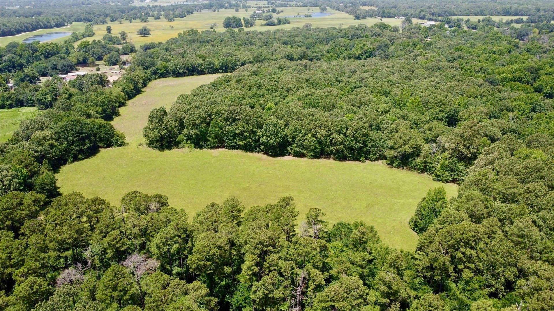 24.39 acres in Lamar County - photo 7