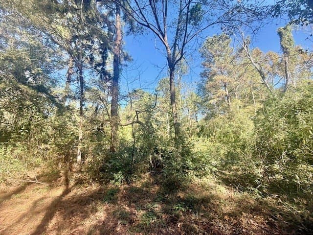 25 acres in Texas County - photo 7