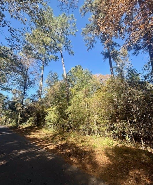 25 acres in Texas County - photo 10