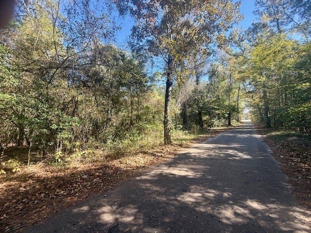 25 acres in Texas County - photo 9