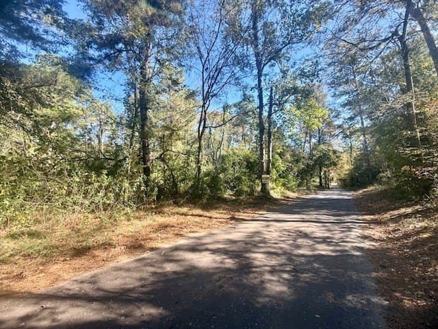 25 acres in Texas County - photo 6