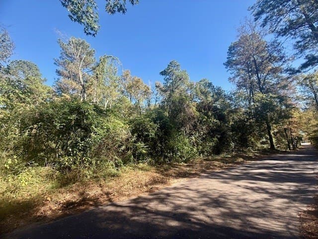25 acres in Texas County - photo 8