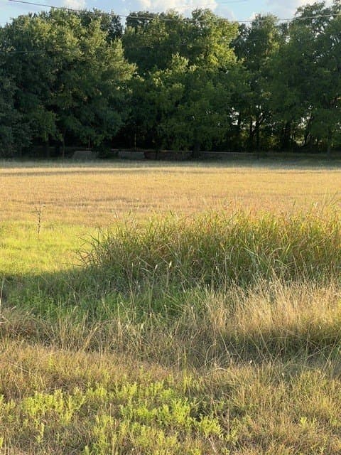 5 acres in Erath County - photo 2