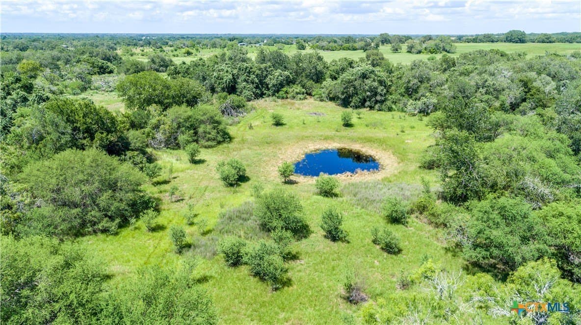 125.33 acres in DeWitt County gallery image 4