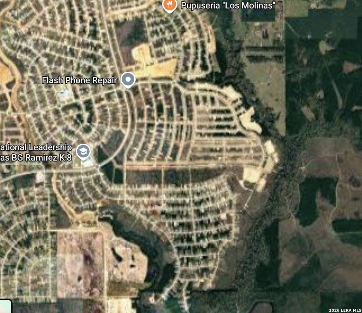 0.19 acres in Liberty County gallery image 4