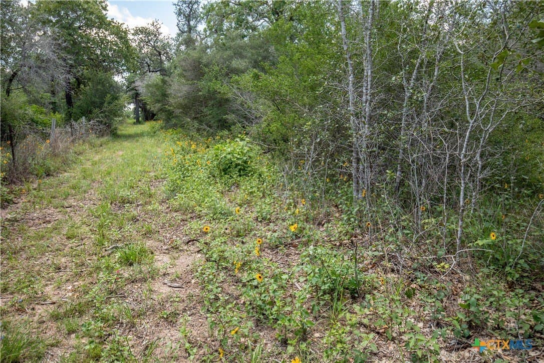 43.81 acres in Gonzales County - photo 25