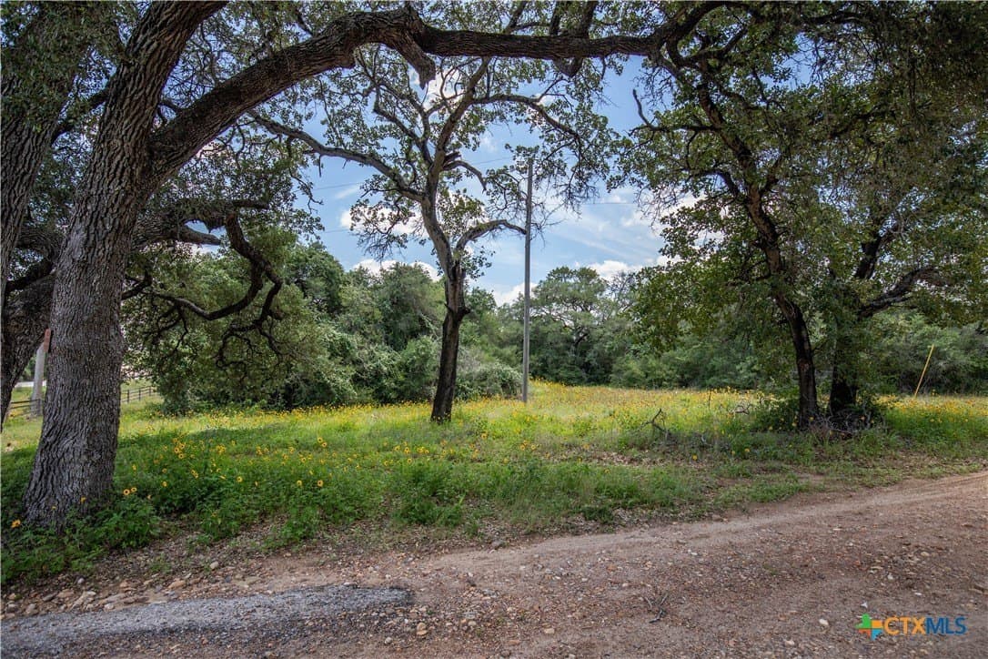 43.81 acres in Gonzales County - photo 24