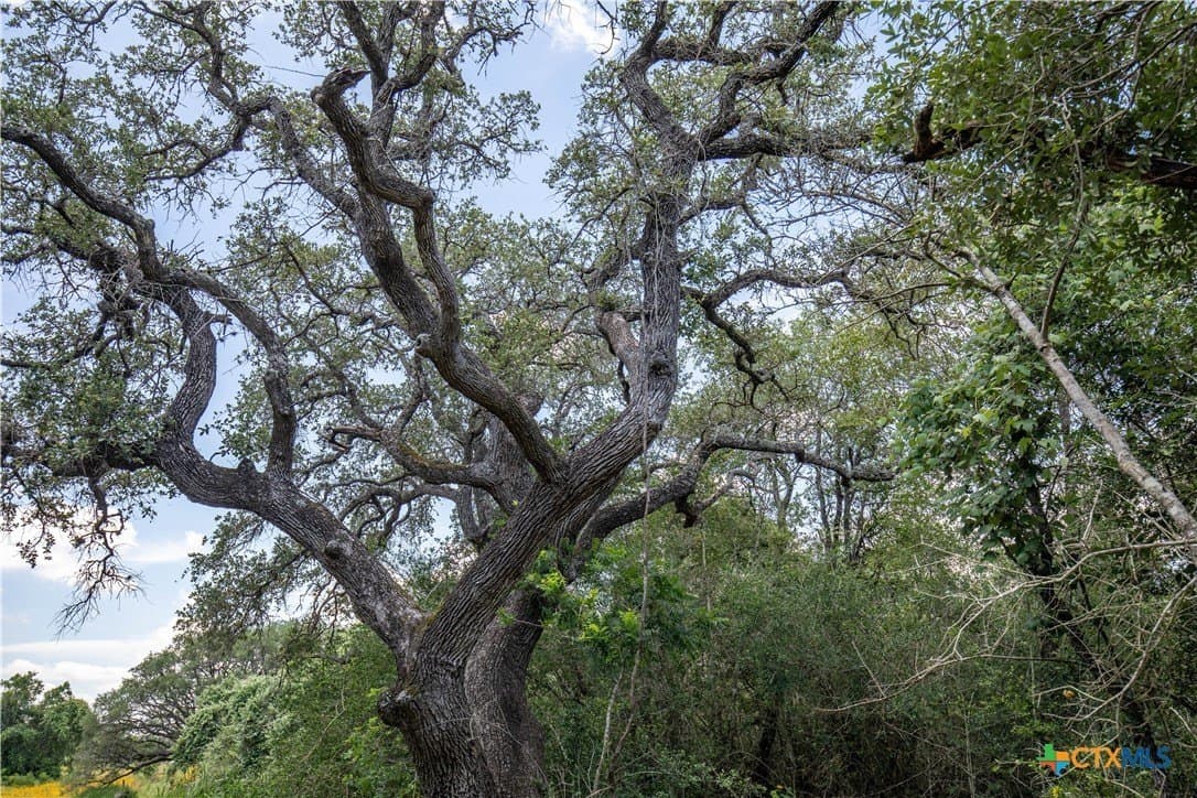 43.81 acres in Gonzales County - photo 26
