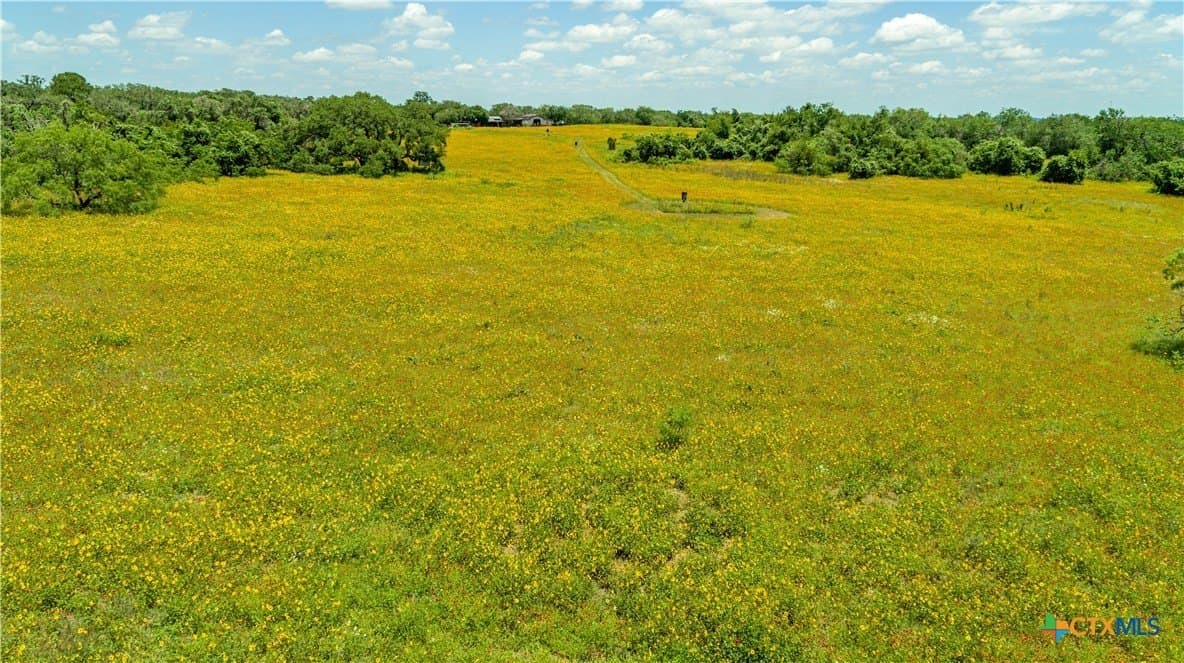 43.81 acres in Gonzales County gallery image 4