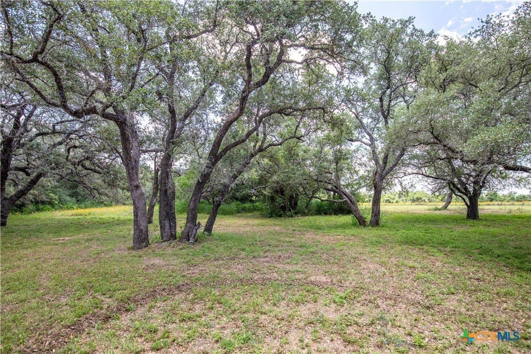 43.81 acres in Gonzales County - photo 12