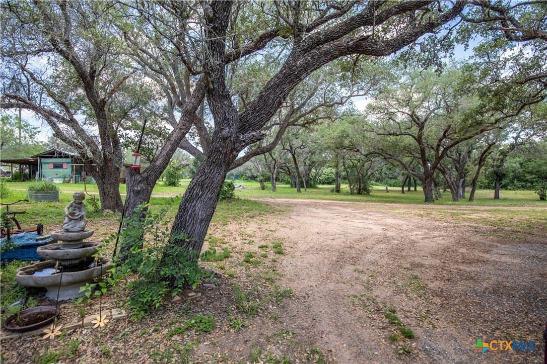 43.81 acres in Gonzales County - photo 11