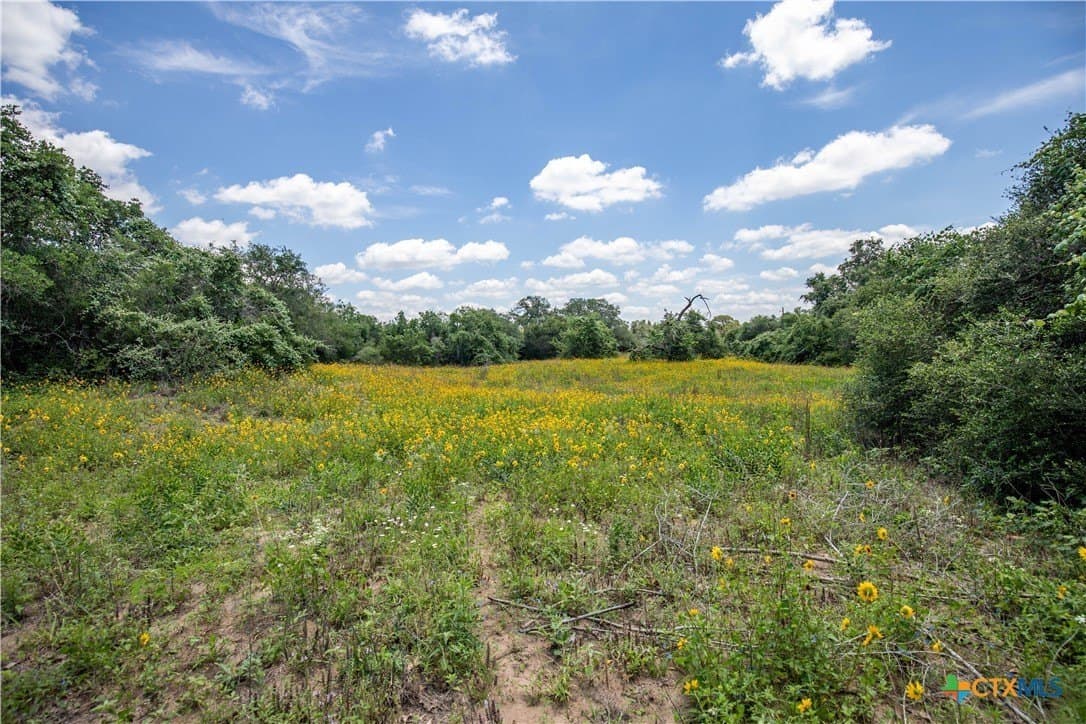 43.81 acres in Gonzales County - photo 20