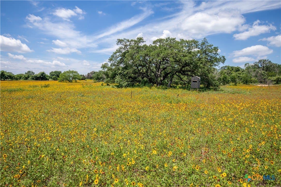 43.81 acres in Gonzales County - photo 28