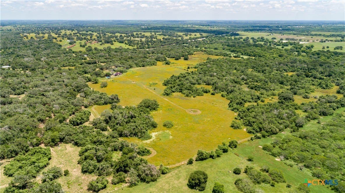 43.81 acres in Gonzales County gallery image 3