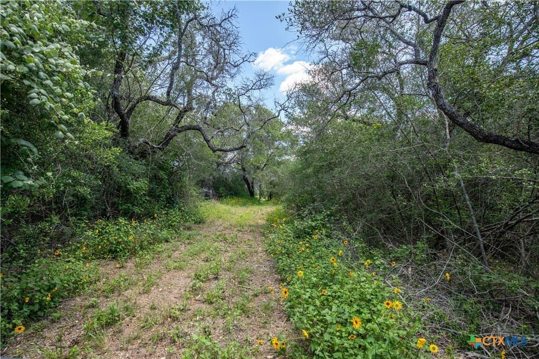 43.81 acres in Gonzales County - photo 19