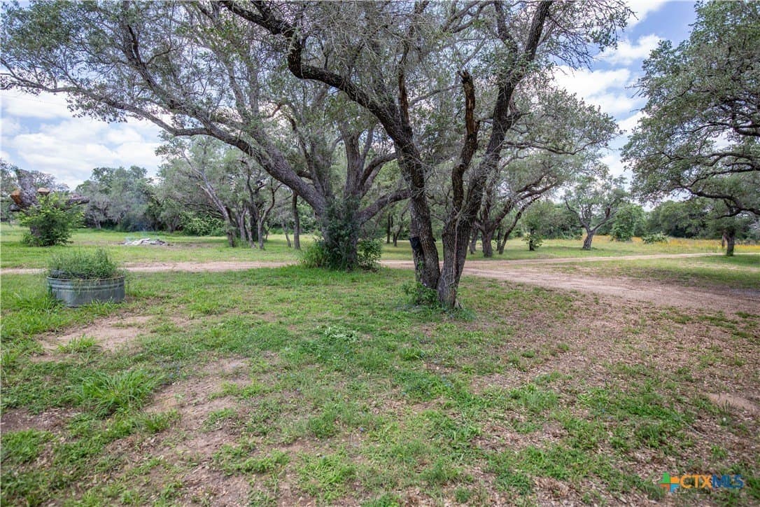 43.81 acres in Gonzales County - photo 13