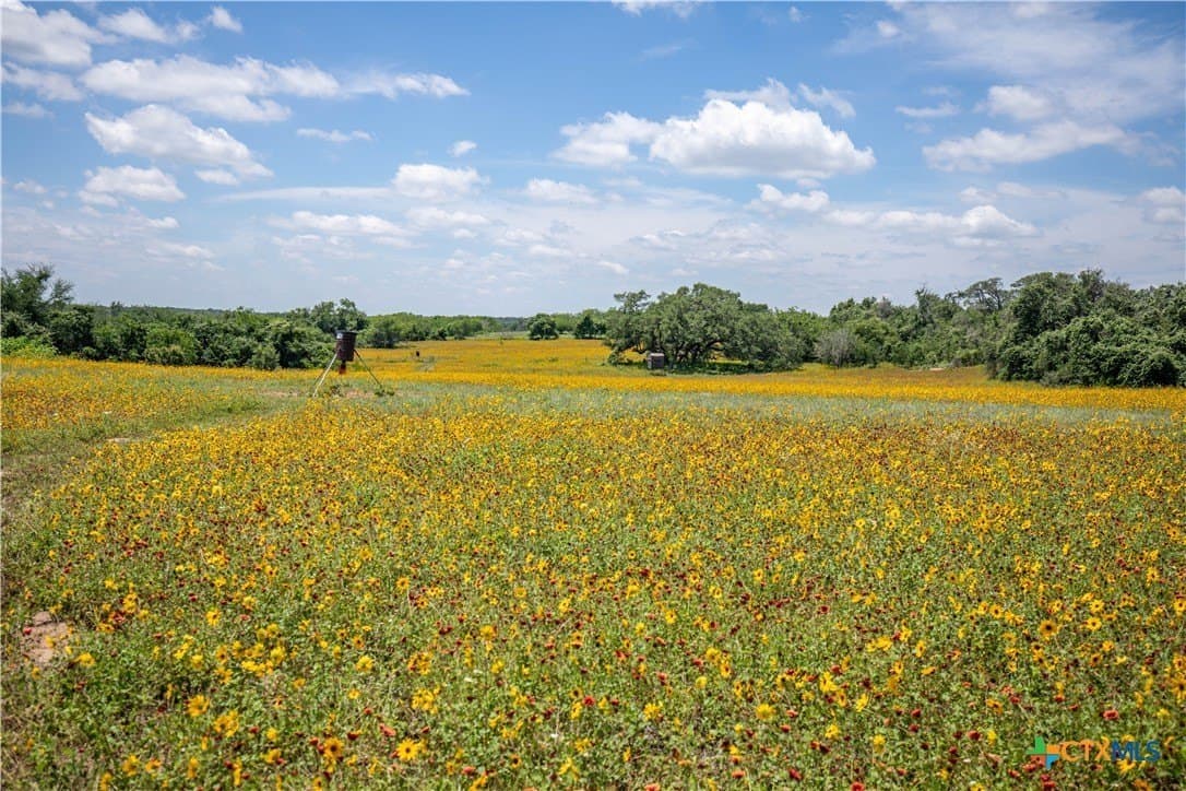 43.81 acres in Gonzales County - photo 27