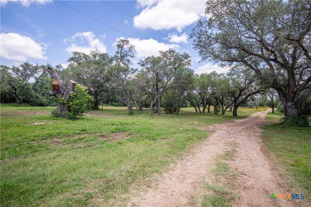 43.81 acres in Gonzales County - photo 15