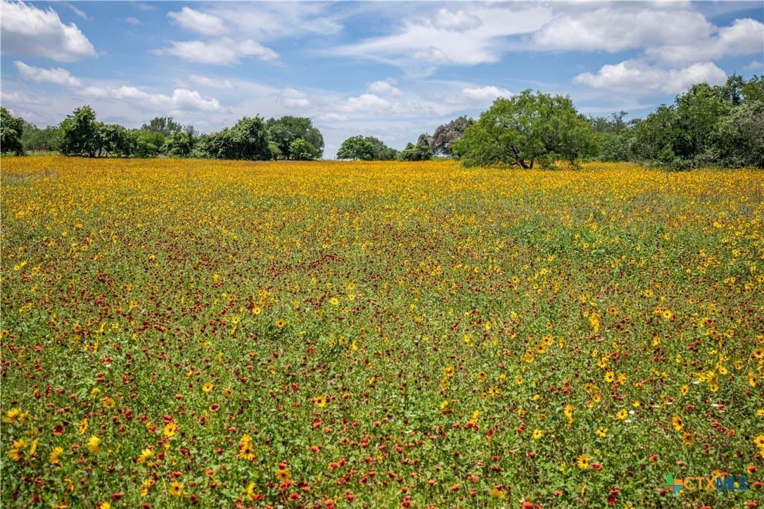 43.81 acres in Gonzales County - photo 29