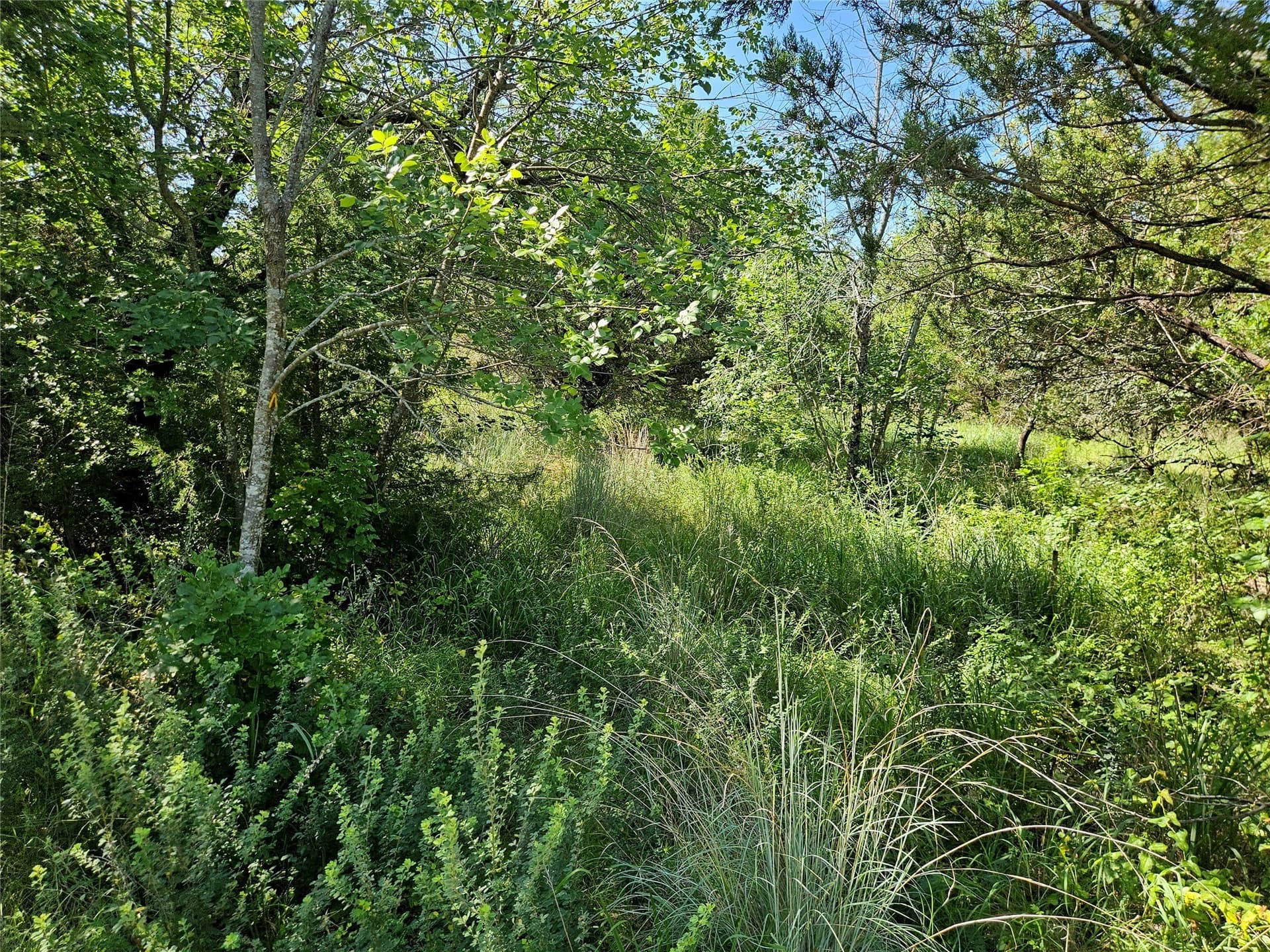 2.01 acres in Parker County - photo 13