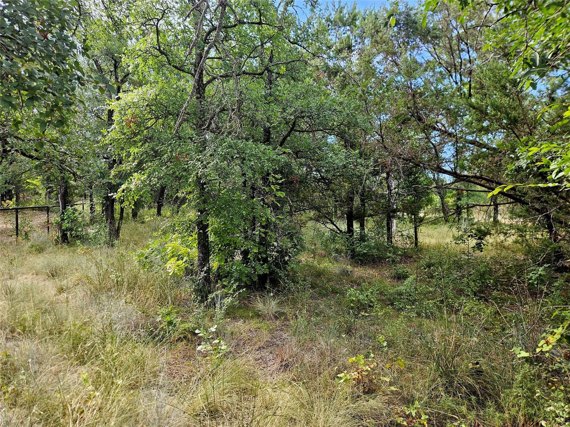 2.01 acres in Parker County - photo 14