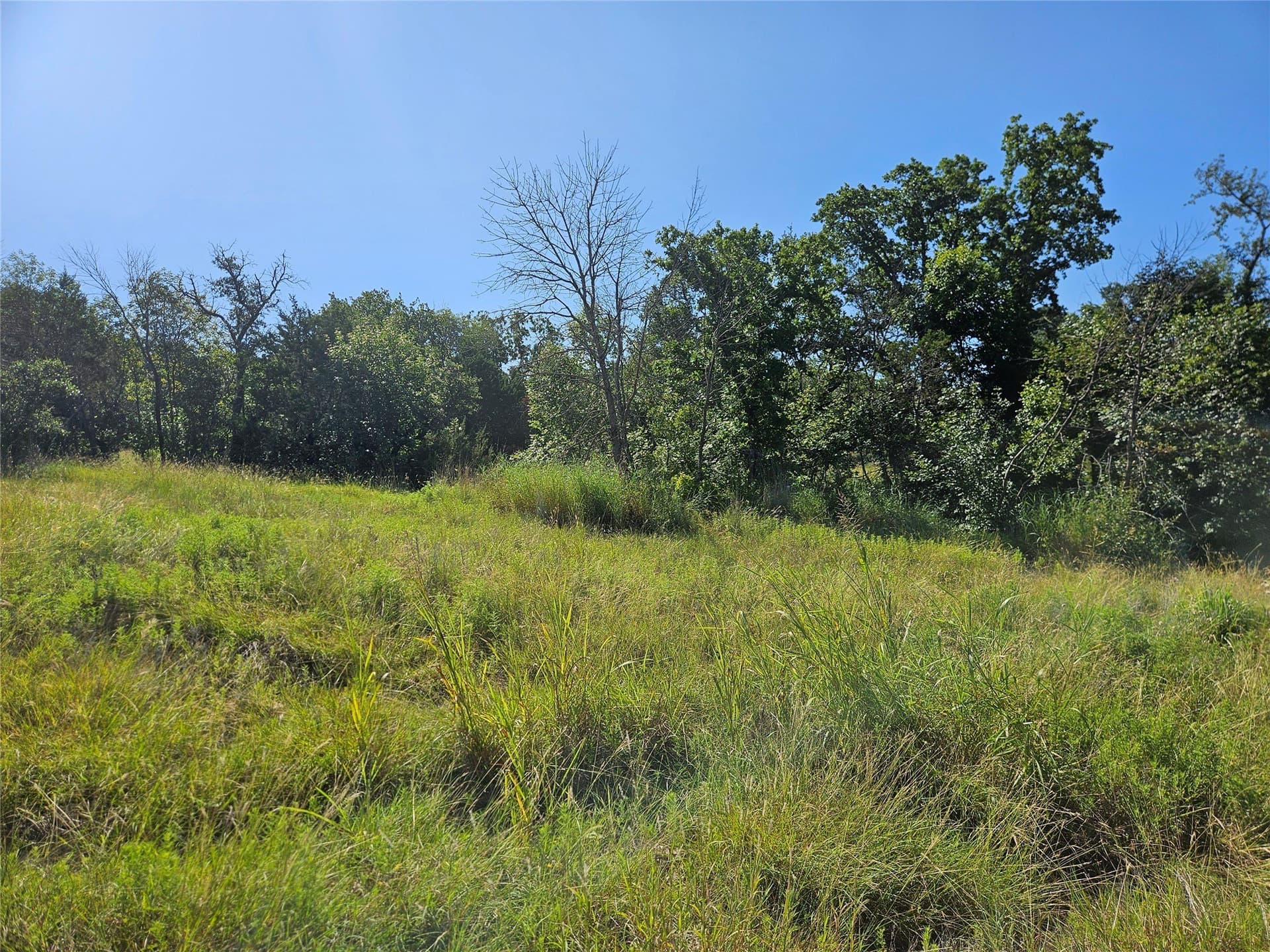 2.01 acres in Parker County - photo 12