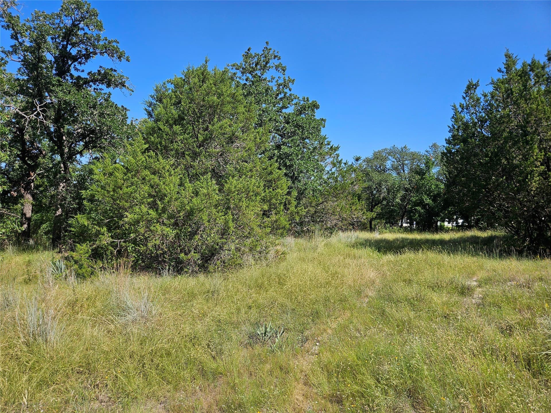 2.01 acres in Parker County - photo 5