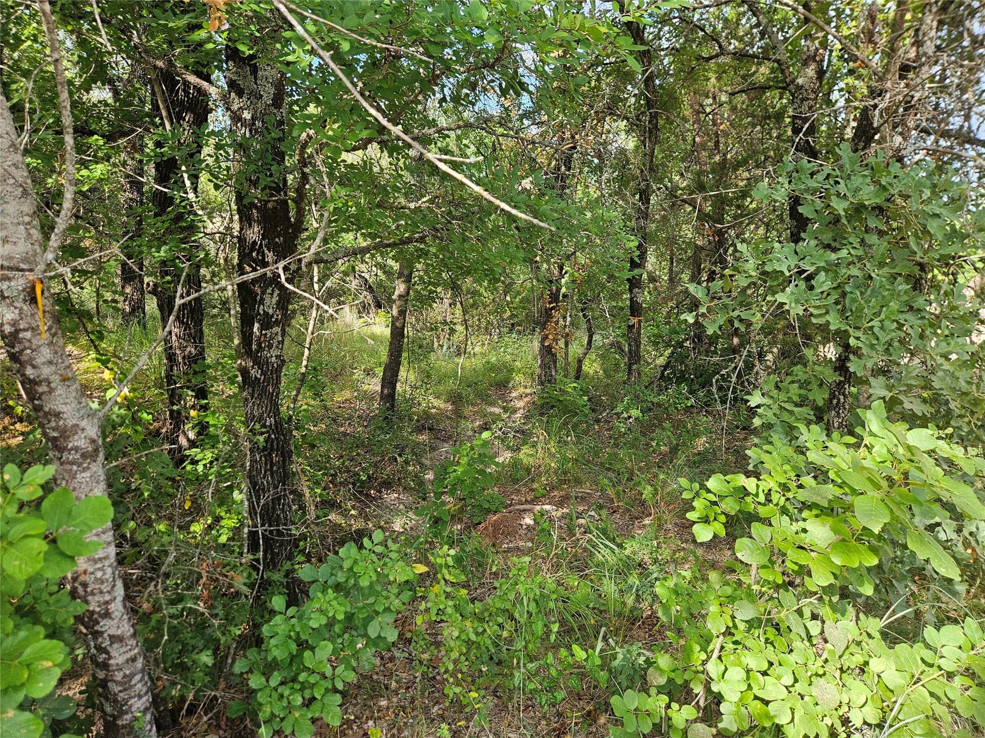 2.01 acres in Parker County - photo 17