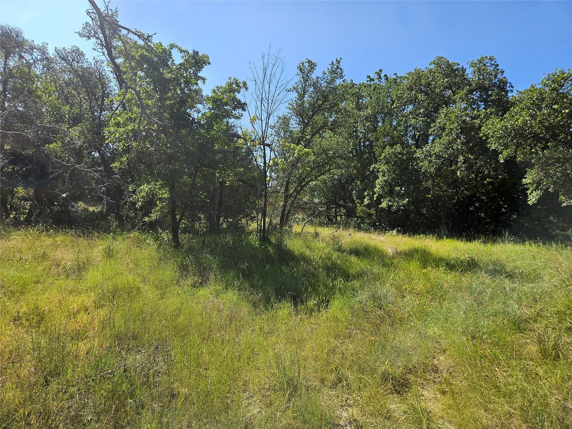 2.01 acres in Parker County - photo 10