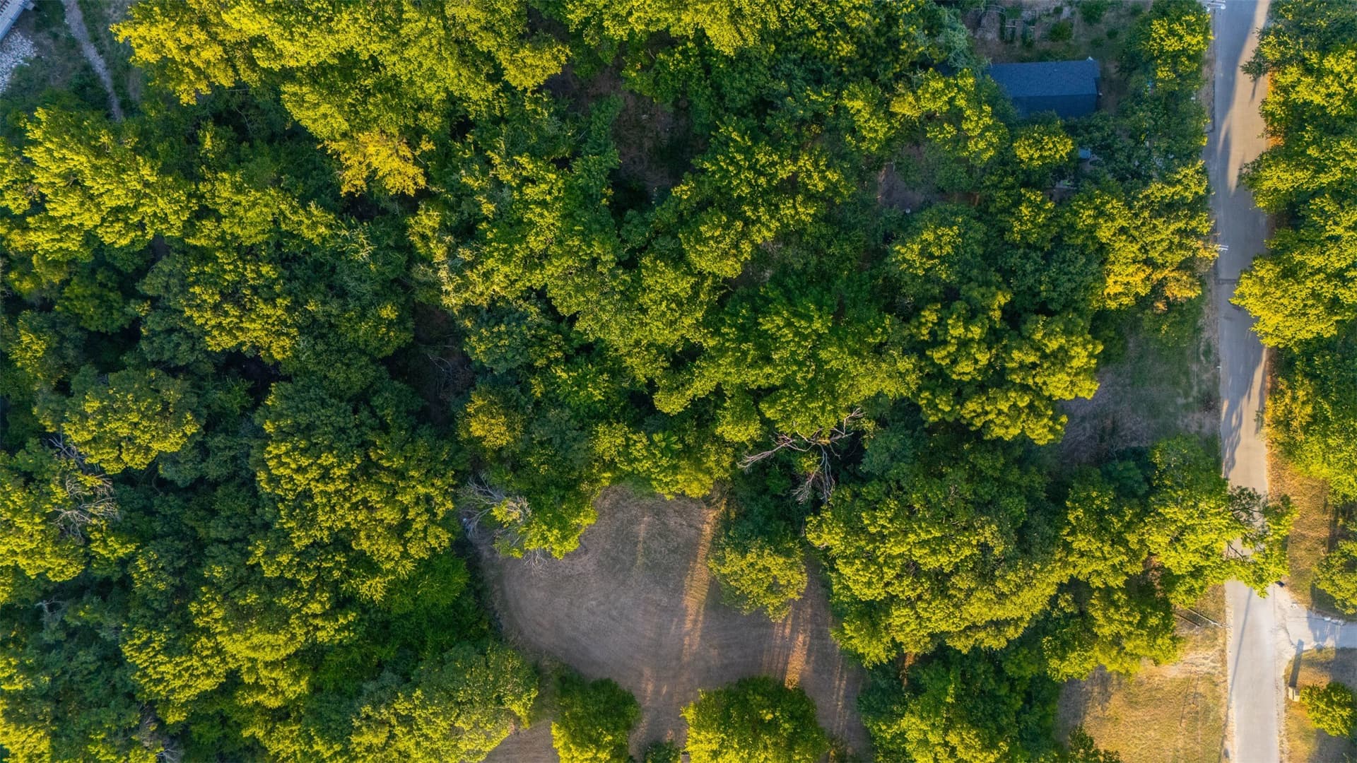 0.46 acres in Parker County - photo 3