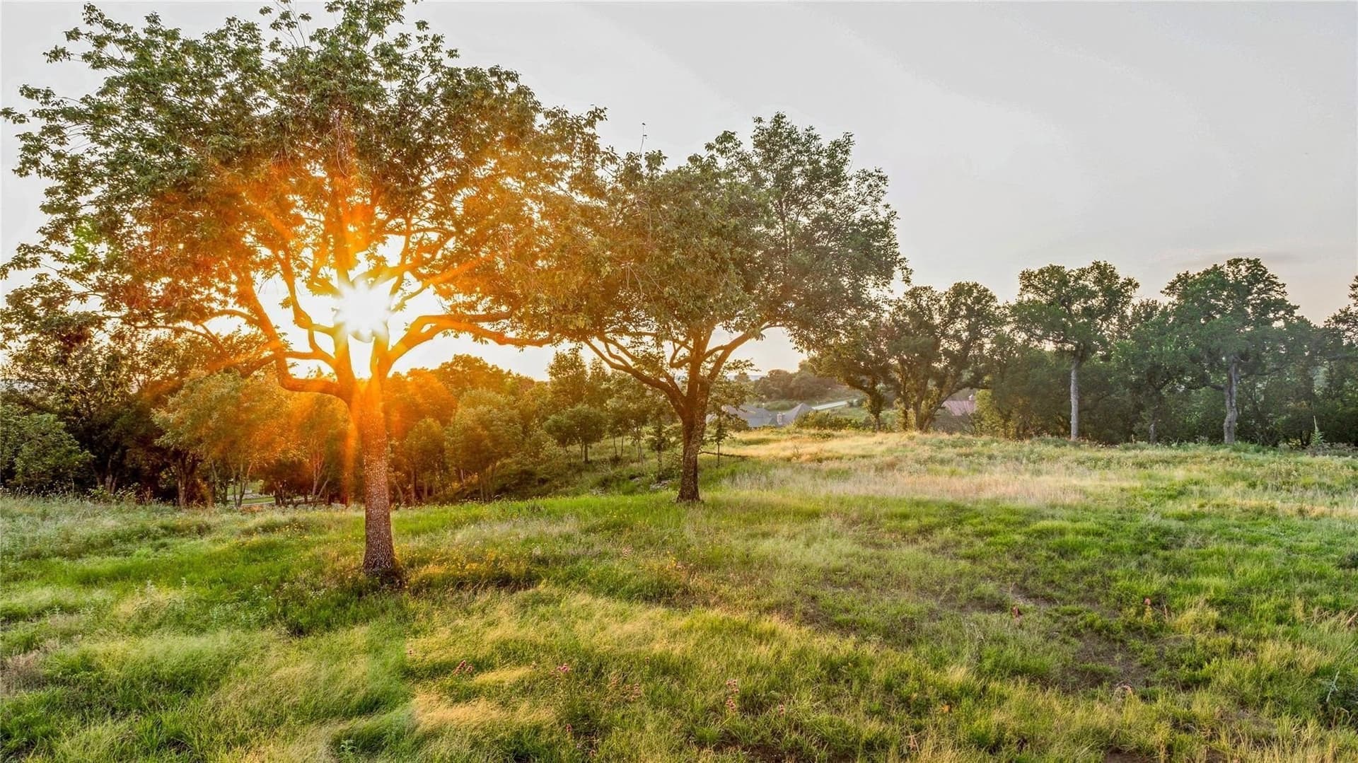 4 acres in Parker County - photo 7