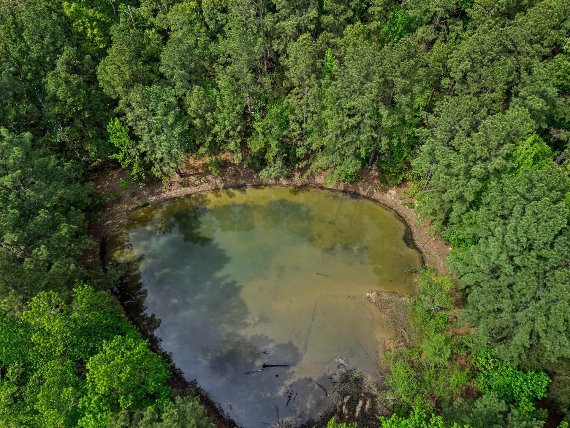 6 acres in Upshur County gallery image 2