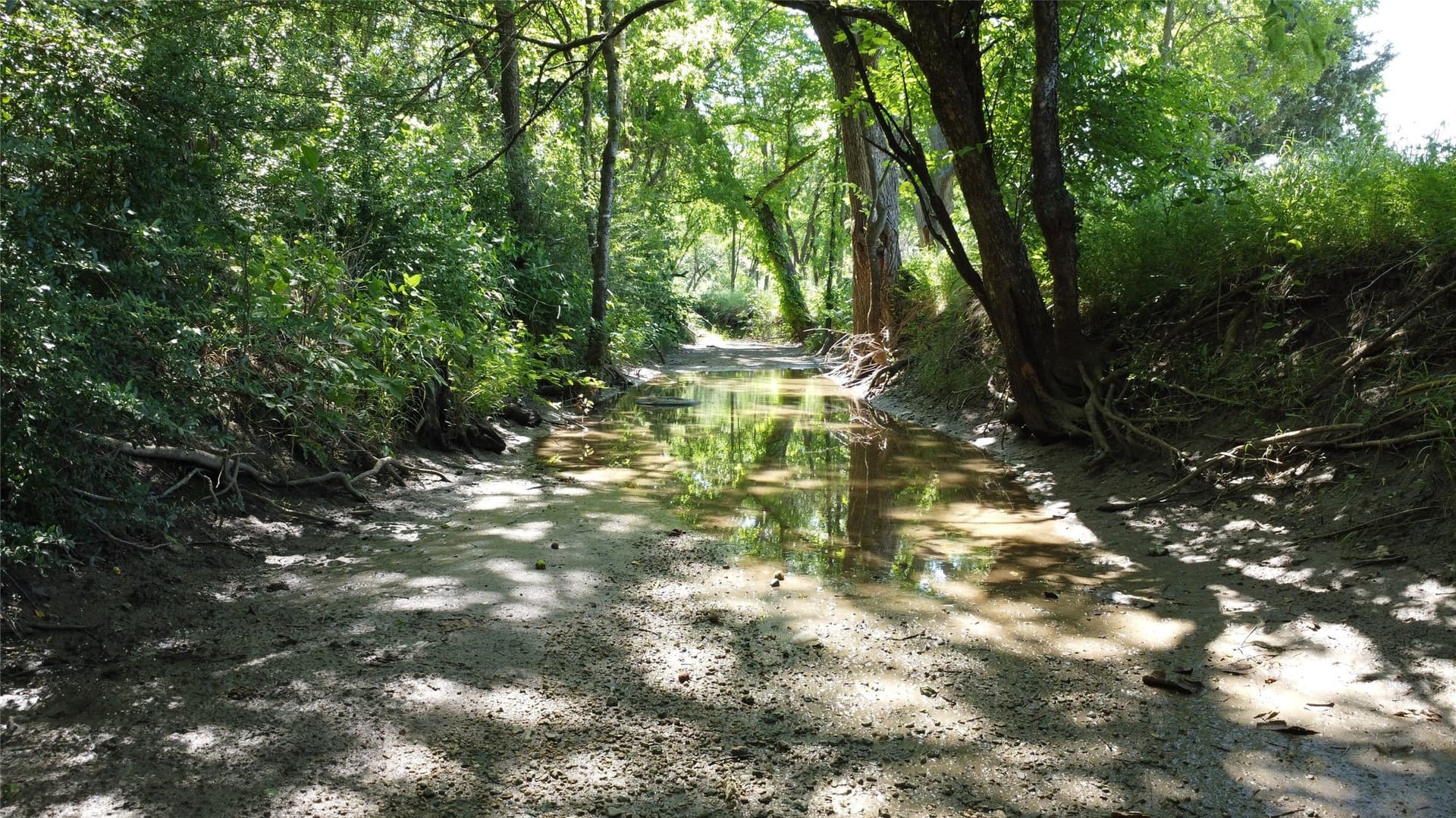 10 acres in Denton County - photo 33