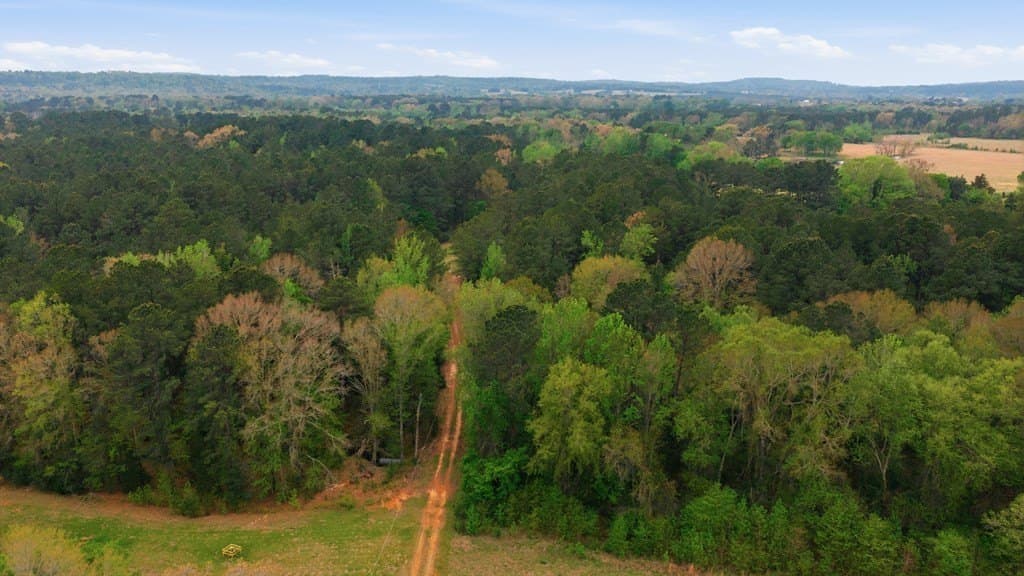 69.19 acres in HENDERSON County gallery image 4