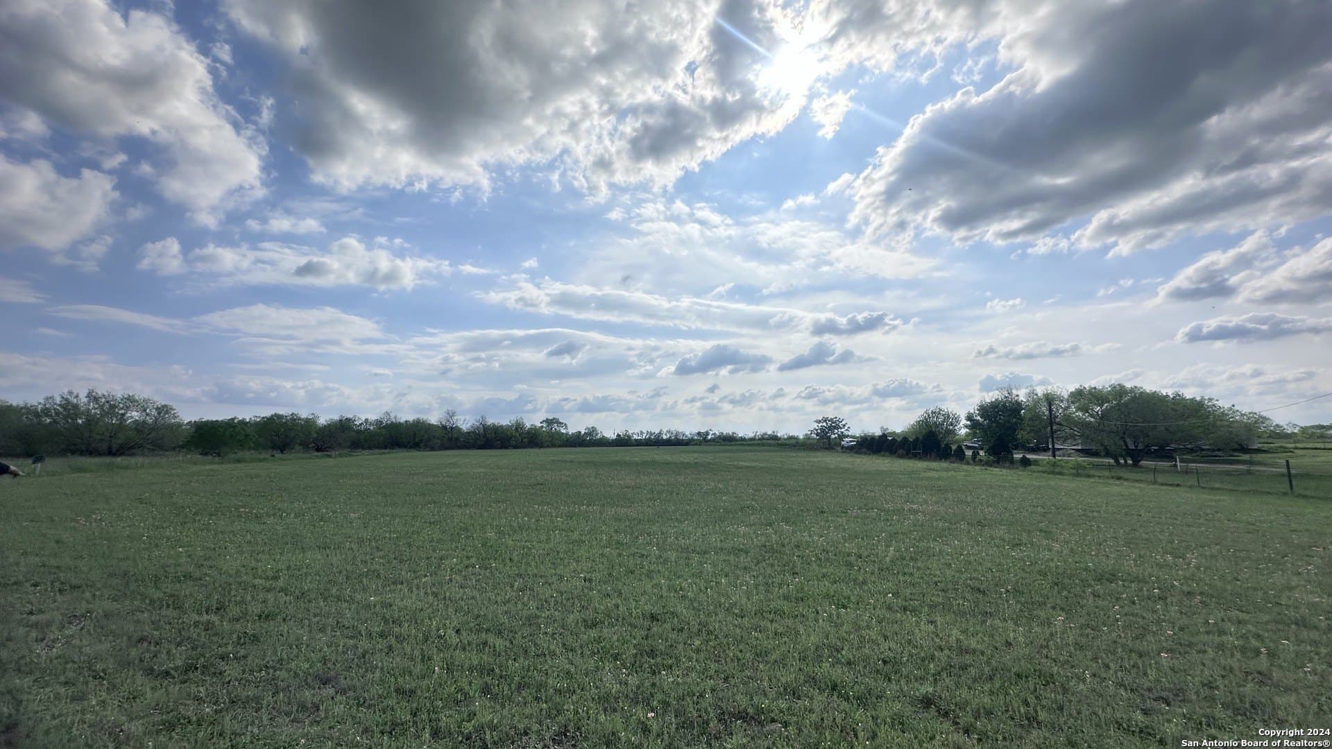 5.01 acres in Bexar County - photo 8