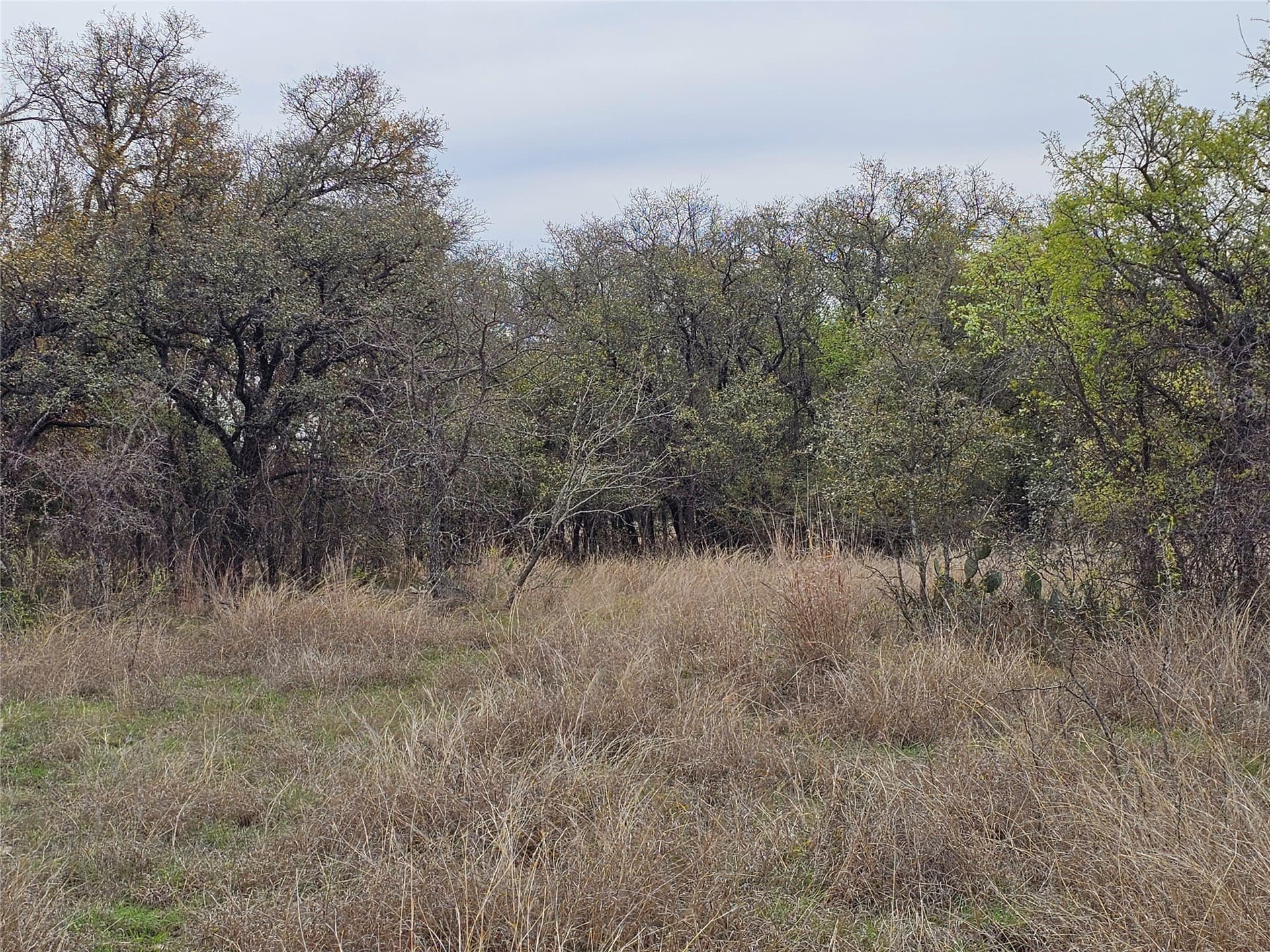 0.56 acres in Brown County - photo 4