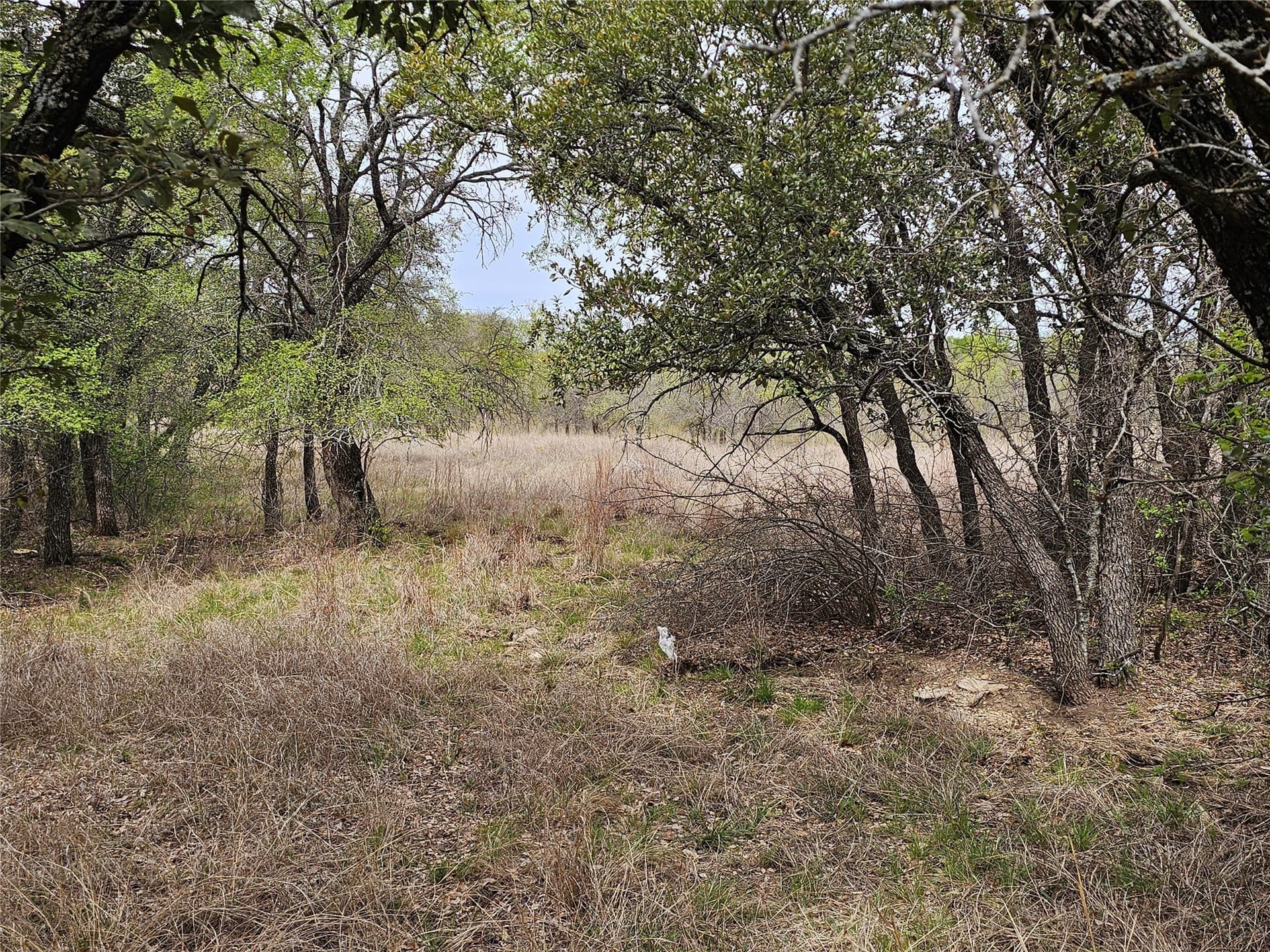 0.56 acres in Brown County - photo 6