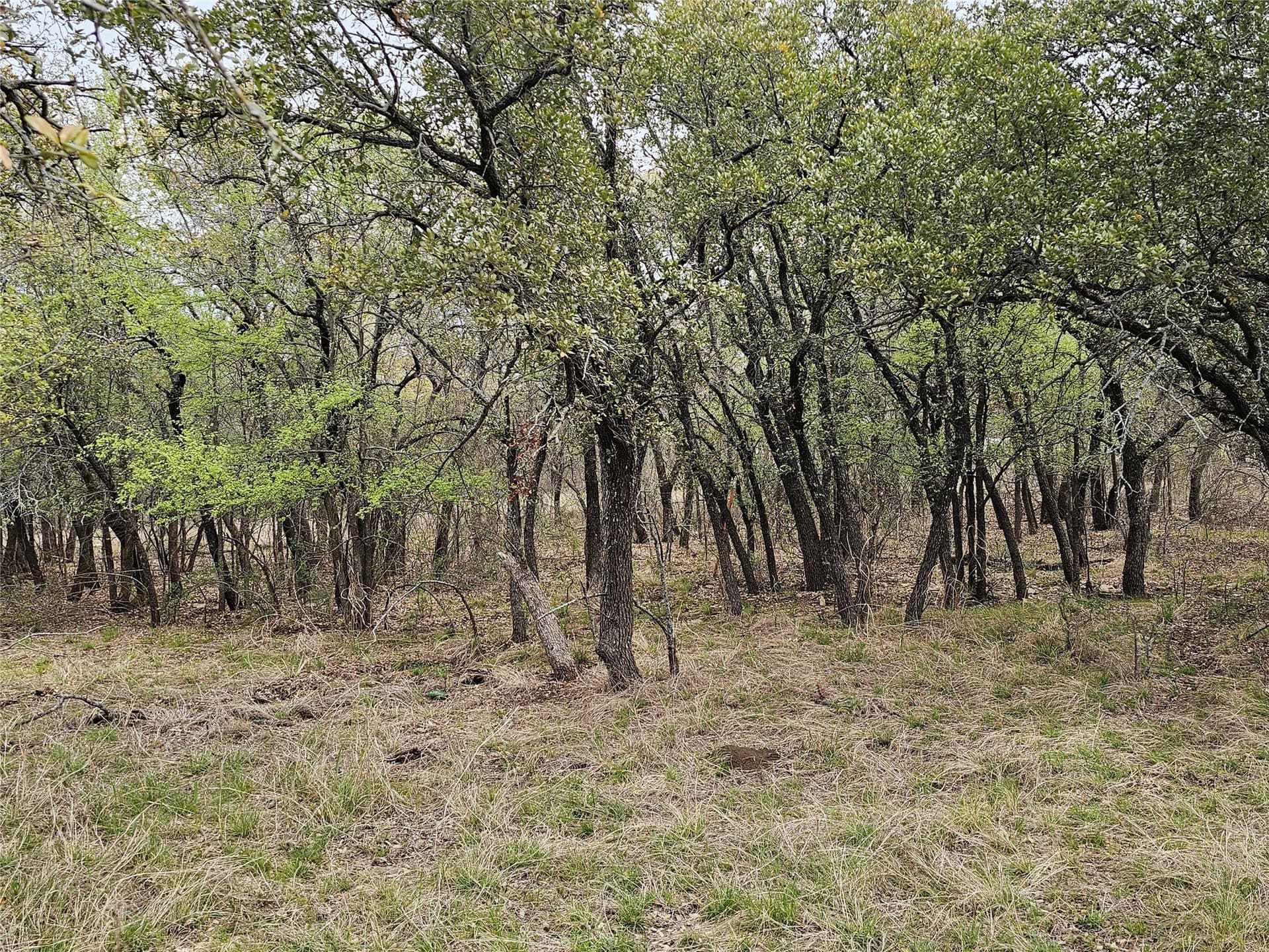 0.56 acres in Brown County - photo 7