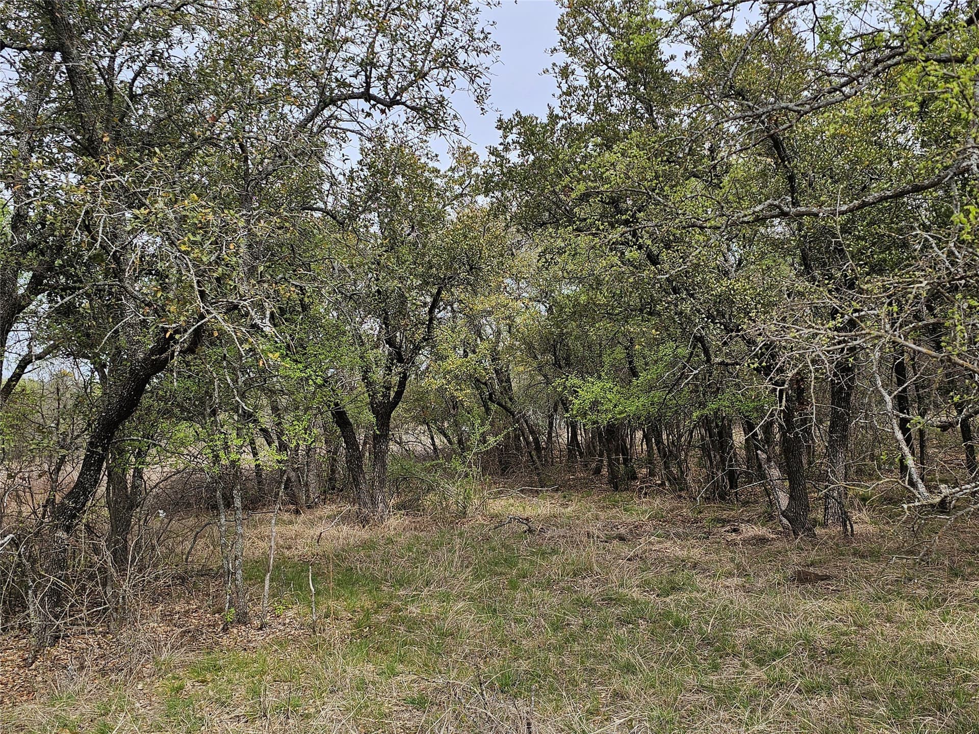 0.56 acres in Brown County - photo 11