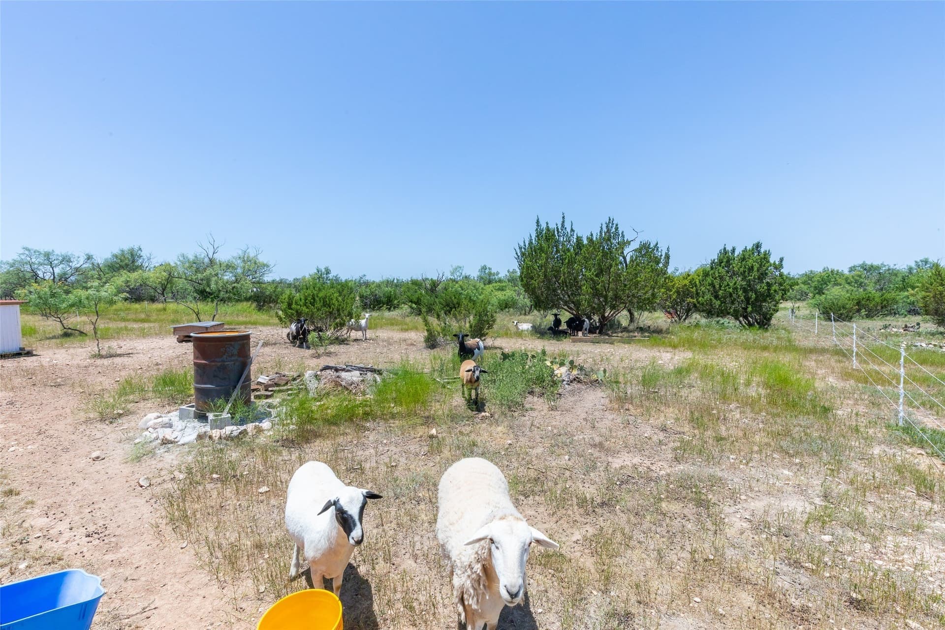 10.1 acres in Taylor County - photo 38