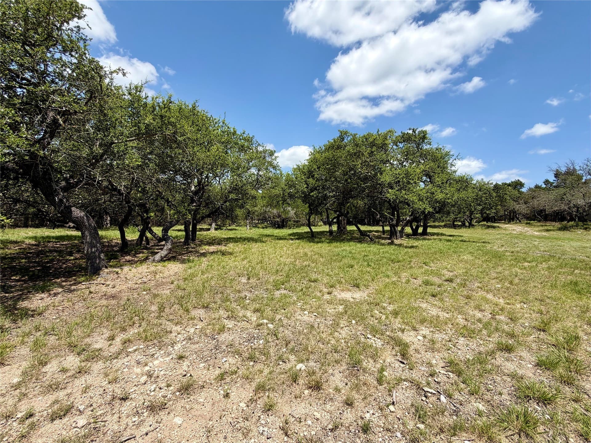1.45 acres in Hays County - photo 9