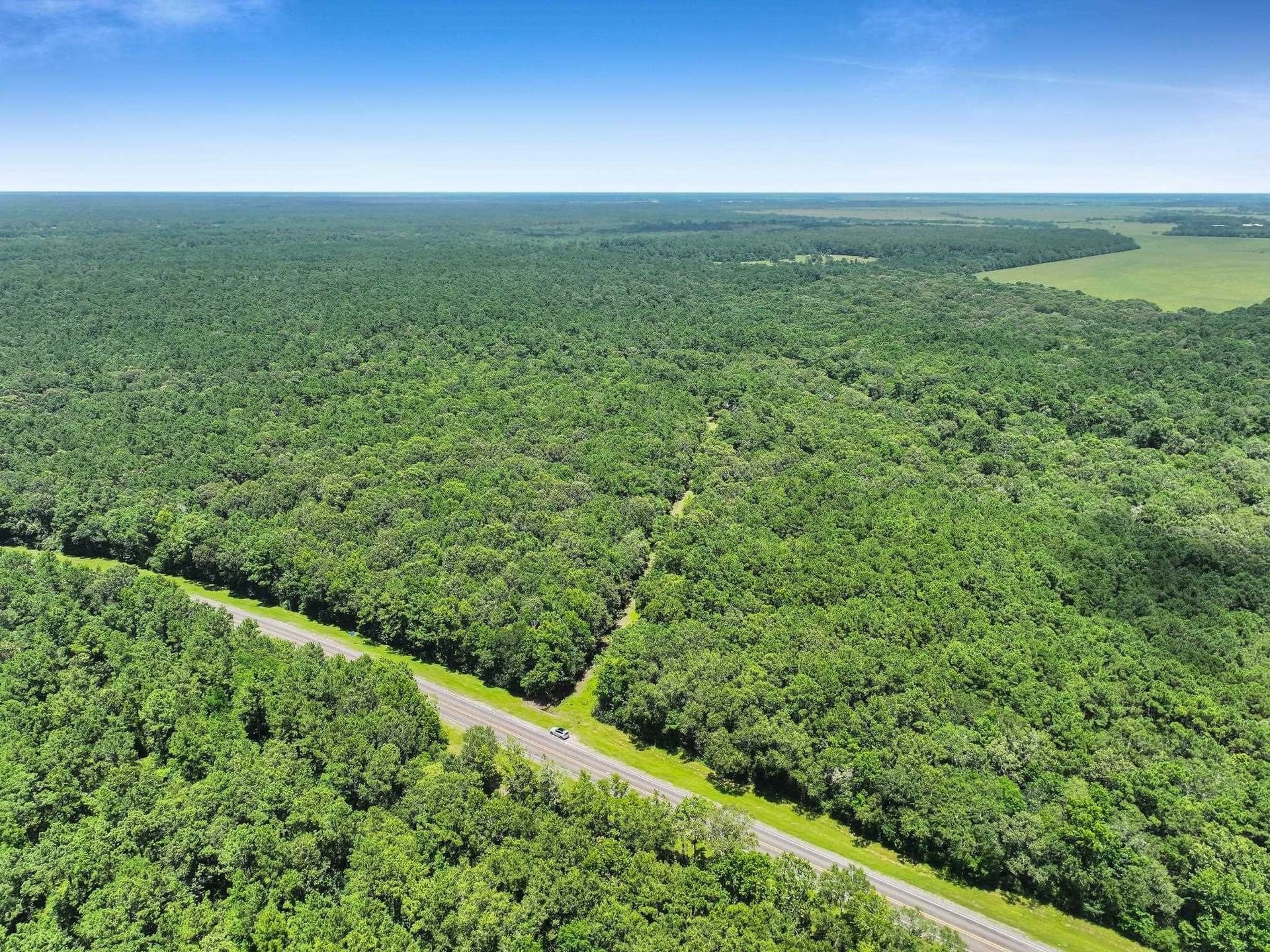15.93 acres in Texas County featured view