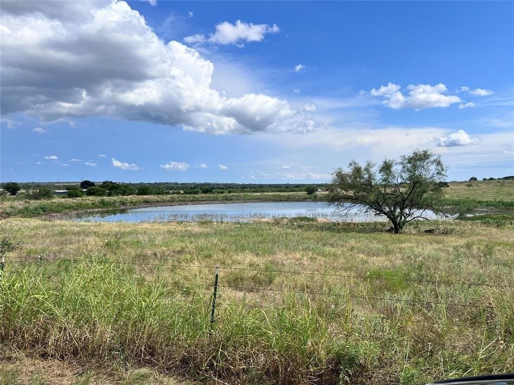 29.16 acres in Young County gallery image 4