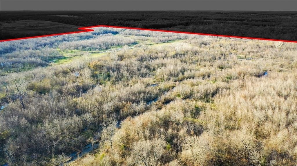 160.17 acres in Lamar County gallery image 3