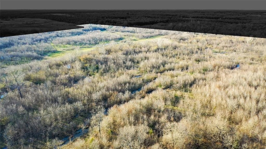 160.17 acres in Lamar County gallery image 4